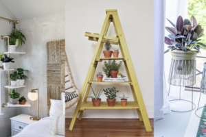 22 ideas de soporte de plantas de rincón de bricolaje para plantas de interior